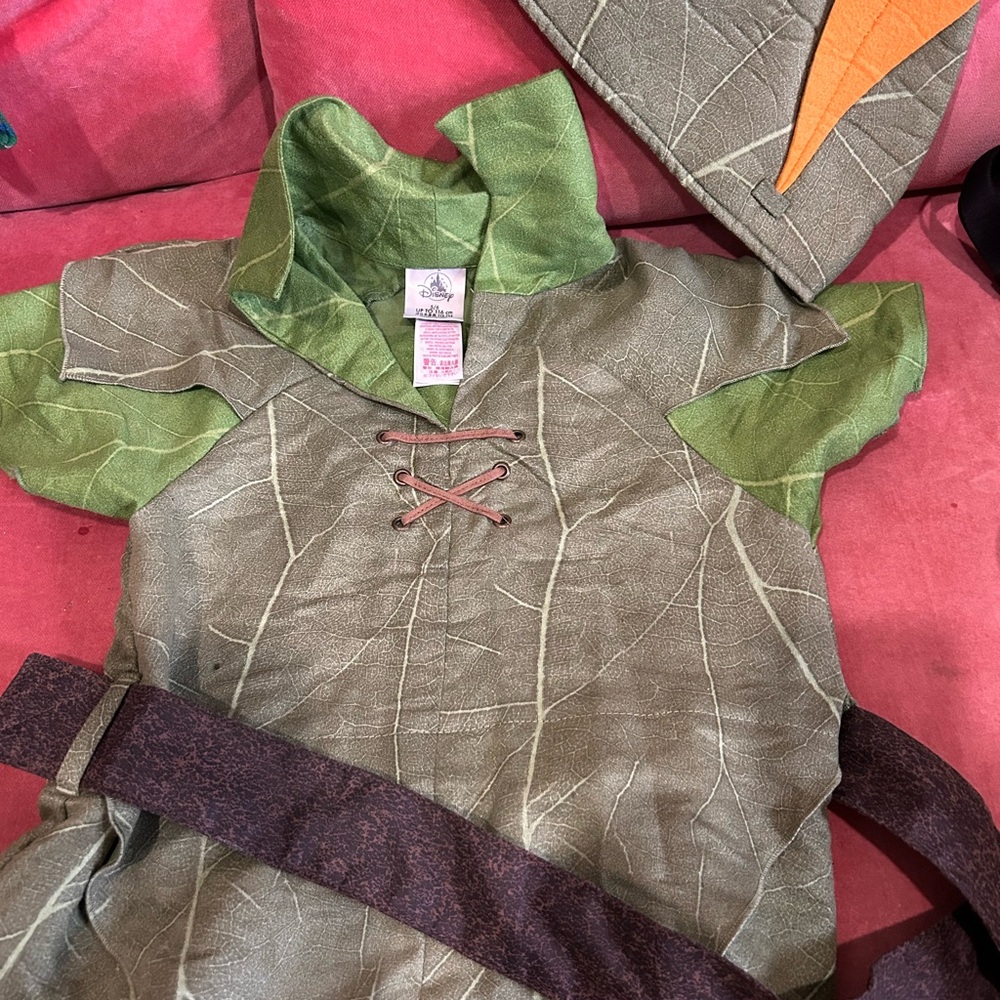 Robin Hood costume